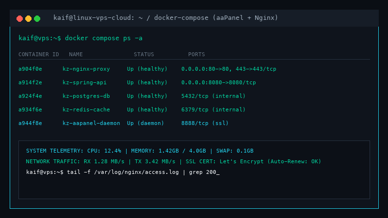 Linux VPS & Docker Hosting